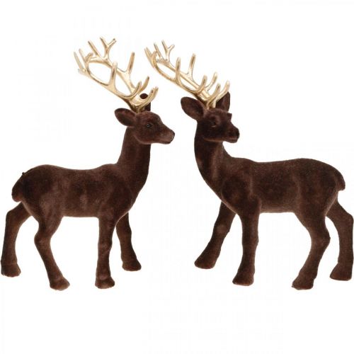 Floristik24 Weihnachtsdeko Deko-Hirsch zum Stellen Braun, Gold 20cm 2 St