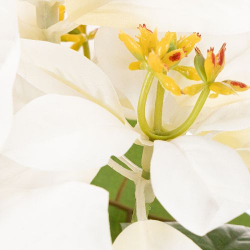 Künstliche Weihnachtssternblume Weiss 40 cm Kunstseide | Floristik24.ch