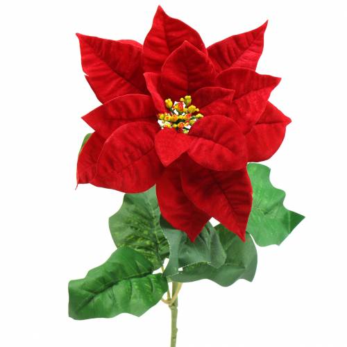 Floristik24 Weihnachtsstern Kunstblume Rot 67cm