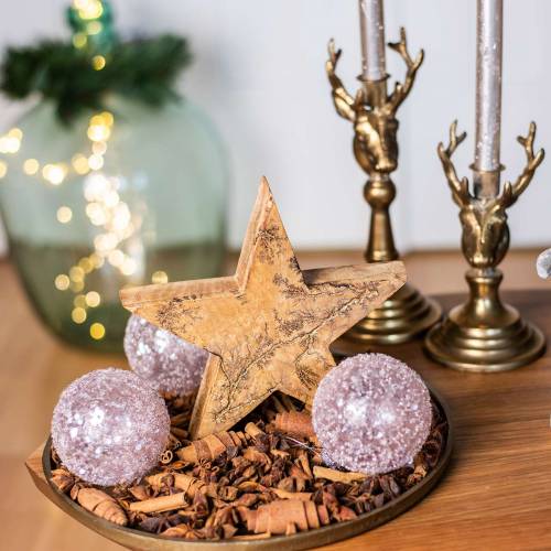 Floristik24 Weihnachtsstern stehend Mango Natur, Golden 20×20×3,5cm