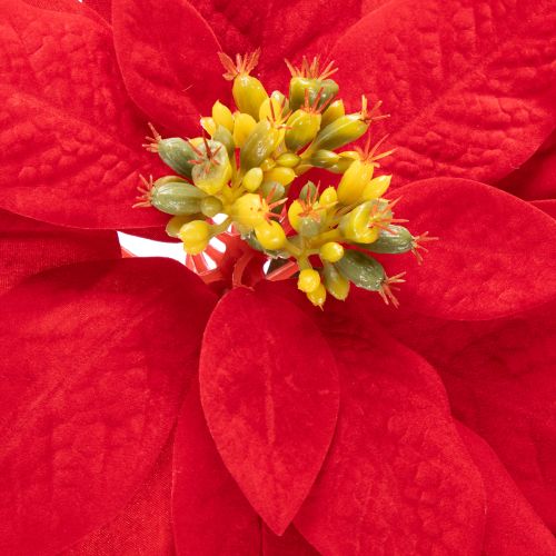 Künstlicher Weihnachtsstern Rot Einzelstiel 82cm | Floristik24.ch