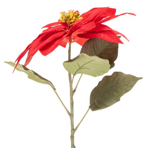 Künstlicher Weihnachtsstern Rot Einzelstiel 82cm | Floristik24.ch
