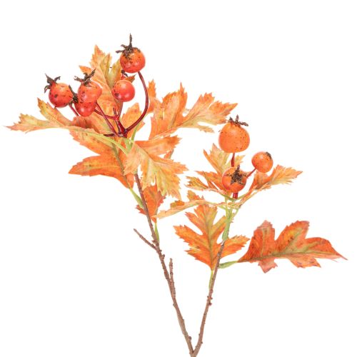 Künstlicher Weissdorn-Zweig mit Blättern und Beeren 62 cm Orange online kaufen | Floristik24.ch
