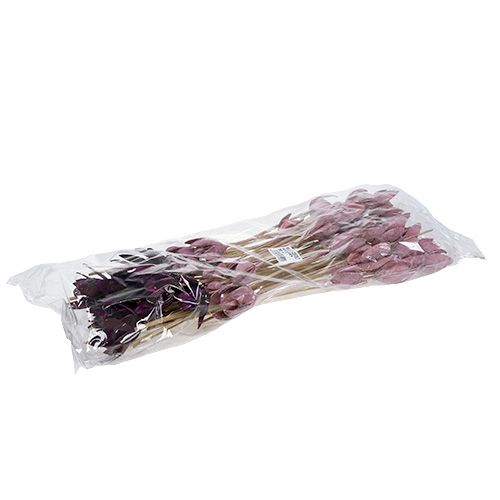 Floristik24 Wildlilie zum Dekorieren am Stiel Mix Rosa, Erika 45 St