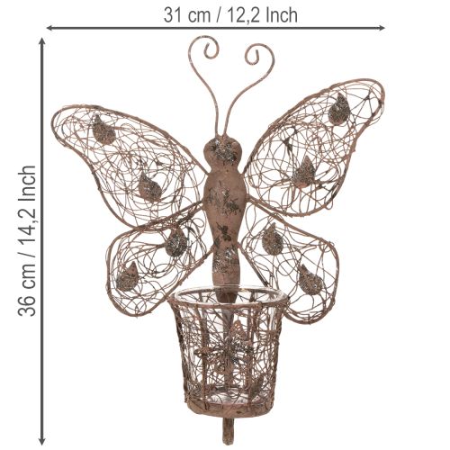 Windlicht Wanddeko Schmetterling Metall Rostoptik mit Glas 36,5cm | Floristik24.ch
