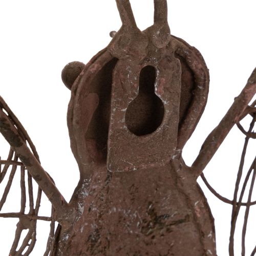 Windlicht Wanddeko Schmetterling Metall Rostoptik mit Glas 36,5cm | Floristik24.ch