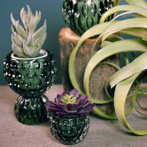 Floristik24 Windlicht aus Glas Dunkelgrün Ø11,5cm H9cm 1St