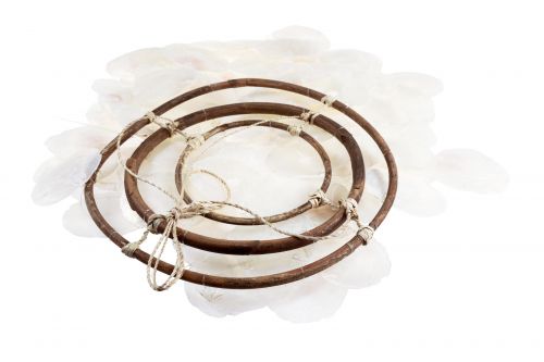 Floristik24 Windspiel Maritim Klangspiel Capiz Muscheln Natur 90cm