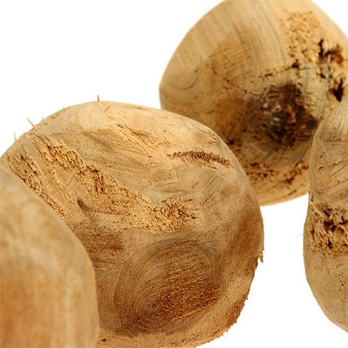Floristik24 Wurzelball Tannenholz Ø7cm Natur 5 St