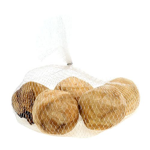 Floristik24 Wurzelball Tannenholz Ø7cm Natur 5 St