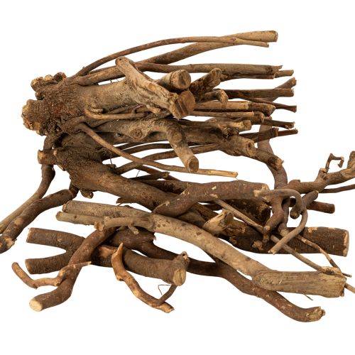 Deko-Holzäste naturgetrocknet 18 cm 500 g für kreative Dekoration