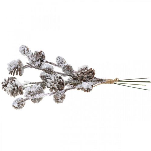 Floristik24 Weihnachtszweige Zapfenzweig Beschneit 30cm 5 St im Bund