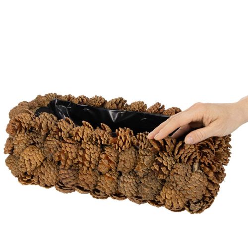 Rechteckiger Pflanzkasten aus Tannenzapfen 40 cm naturbraun | Floristik24.ch