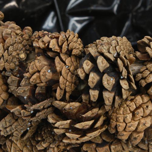 Artikel Zapfenkorb Pflanzkorb Kiefernzapfen Natur Ø33cm H17cm