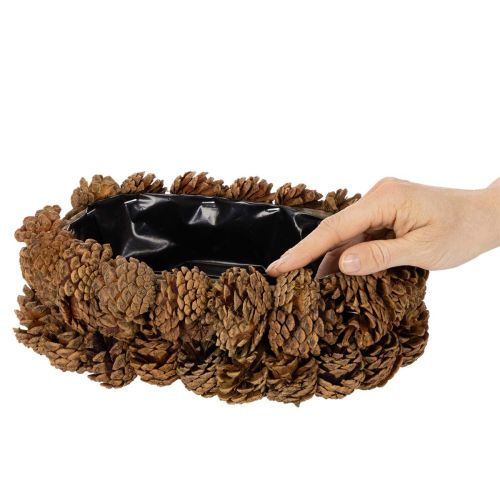 Pflanzschale aus Tannenzapfen oval 30cm naturbraun | Floristik24.ch