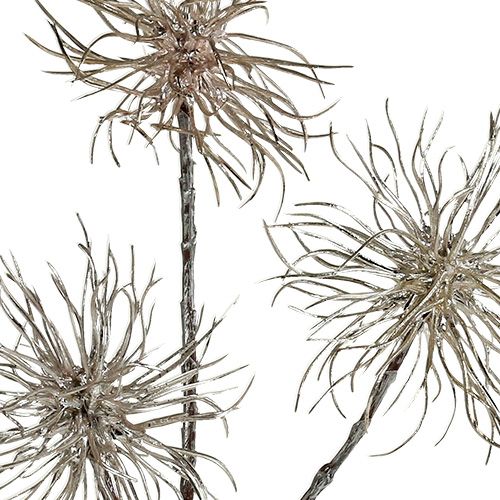 Artikel Zaubernuss Zweig Champagner 45cm 3 St