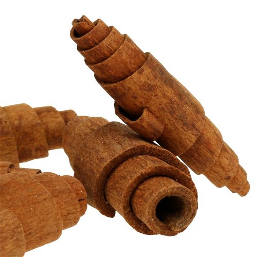 Floristik24 Zimt Croissant Deko 6,5cm - 7cm 30 St