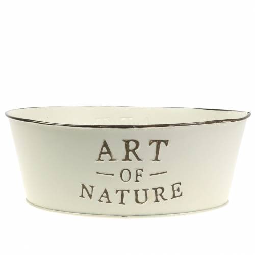 Floristik24 Blumenschale rund Zink Creme Ø25cm H9cm