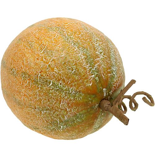 Floristik24 Deko Melone Cantaloupe Ø14cm