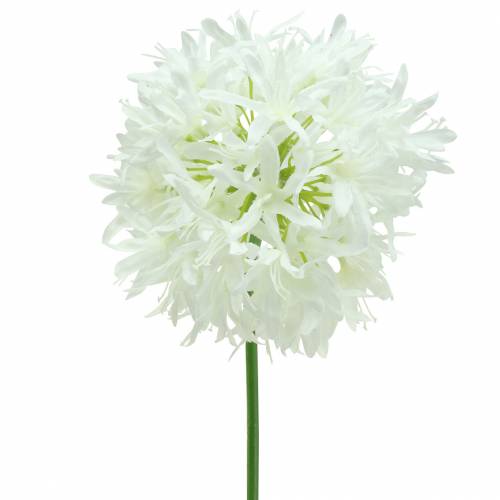 Floristik24 Zierlauch Allium künstlich Weiß Ø12cm H62cm