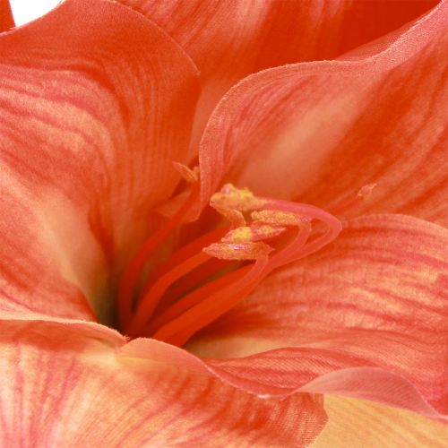 Artikel Amaryllis Deko Blumen in Orange Künstlich L55cm 2St