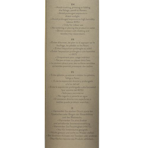 Artikel Infinity Rose mit Blättern Konserviert Amorosa Rot L54cm