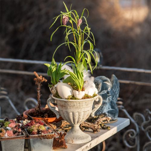 Floristik24 Antik Pokal mit Henkeln Metall Deko Vintage Grau Weiß H18cm