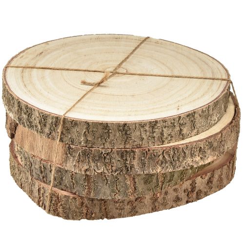 Floristik24 Baumscheibe Paulownia Holz Deko Natur Ø17-21cm 4St