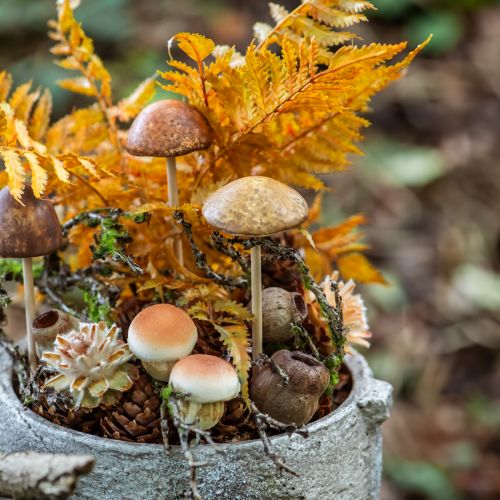 Artikel Bellgum Glockenfrucht Kapselfrucht Naturdeko Braun 500g