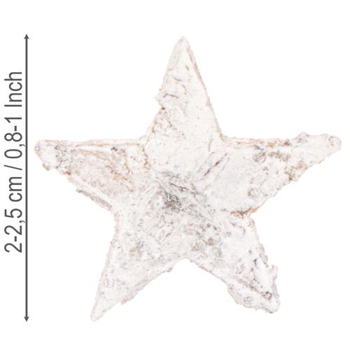 Mini Birkensterne 2–2,5 cm weissgewaschen, 150 Stück | Floristik24.ch