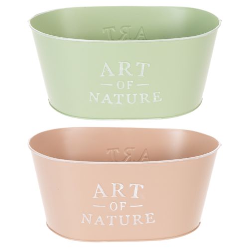 Blumenschale Oval Zink 27×18×12,5cm Pastellfarben mit Prägung für Innen- und Aussenbereich online kaufen | Floristik24.ch