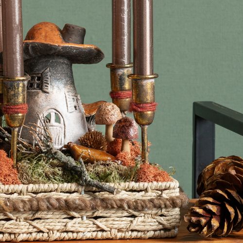 Floristik24 Blumenstecker Pilz Deko Stecker Holz Braun Ø2,5cm 8 St