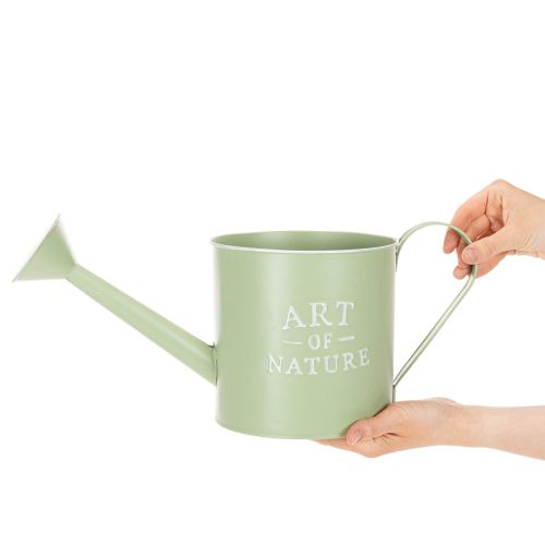 Blumentopf Gieskannenform Zink Mintgrün Ø16,5cm Innenbereich | Floristik24.ch