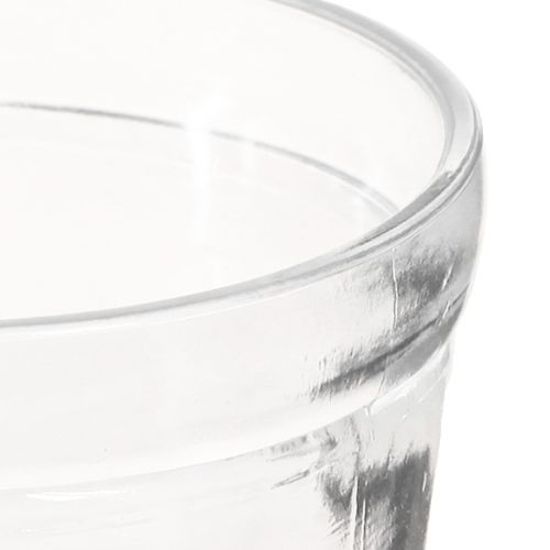 Floristik24 Blumentopf Glas Übertopf Transparent Ø11cm H10,5cm 2St