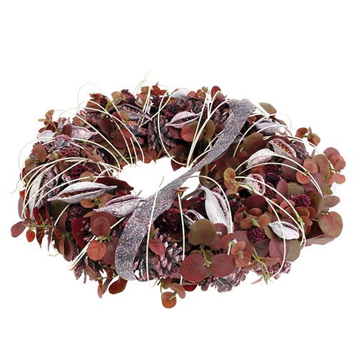 Artikel Brachyciton brombeer gefrostet 500g