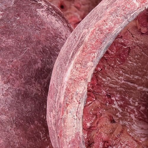 Floristik24 Buddha Nut Rot Weiß Getrocknet Natur Deko Ø5,5–9,5cm 5 St