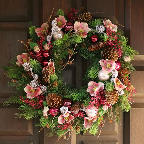 Floristik24 Eleganter Strauß Rosa Christrosen – 35 cm 6St.