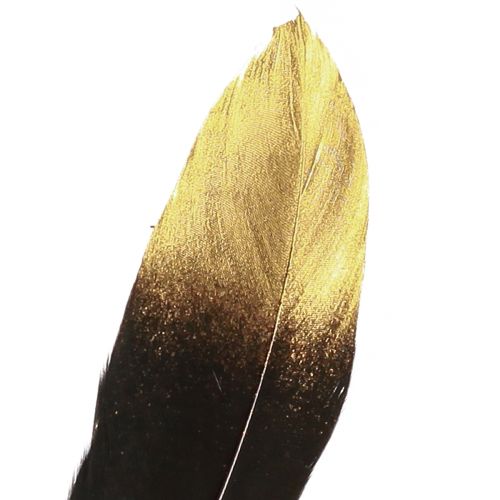 Artikel Deko Federn Schwarz Gold Echte Gänsefedern 15-20cm 50St