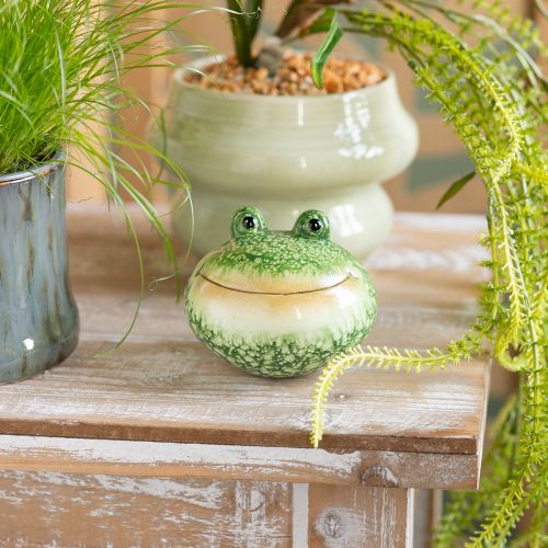 Artikel Deko Frosch Figur für verspielte Wohn und Gartendekoration grün 11cm 2St