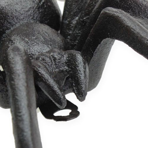 Floristik24 Spinne Dunkelbraun 13,5cm