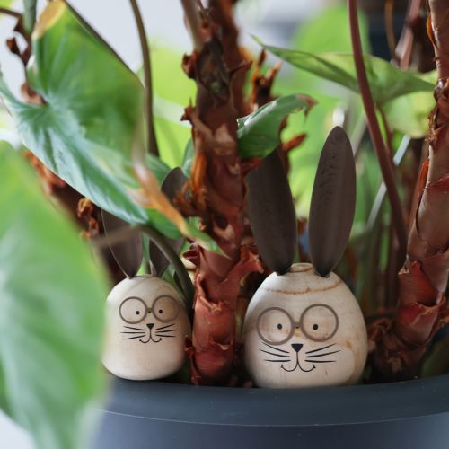 Artikel Dekorativer Hase mit humorvollem Design als freundlicher Blickfang 19cm 2St