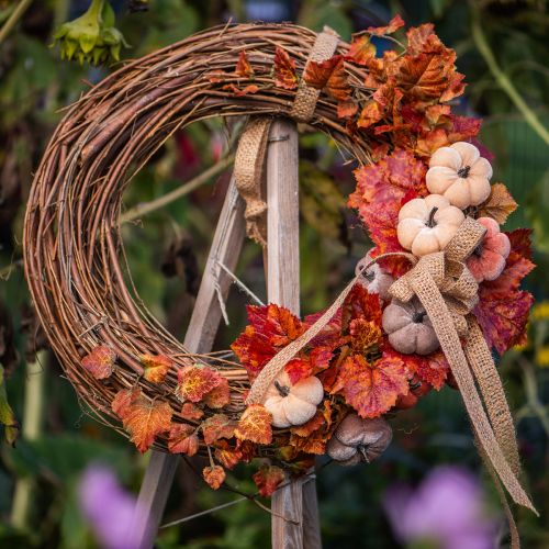 Dekoring Mini Rebenkranz Natur 15cm Set 6 Stück für Bastel- und Dekorationsprojekte | Floristik24.ch