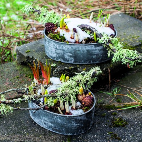 Artikel Dekoschale Metall Steckschale Oval Grau L22,5/19,5/16cm 3er-Set