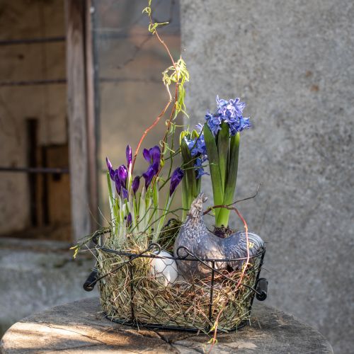 Floristik24 Drahtkorb oval mit Henkel 27x16,5cm H13,5cm Braun