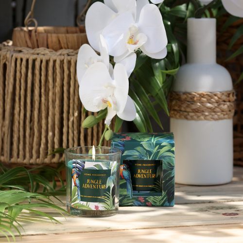 Floristik24 Duftkerze im Glasgefäß Gurke-Eukalyptus Kerze Grün Ø7cm