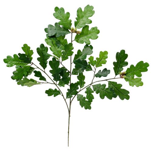Eichenzweig Grün 68cm