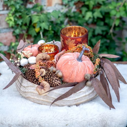 Artikel Eukalyptus Konserviert Eukalyptuszweige Rot, Braun 56cm 135g