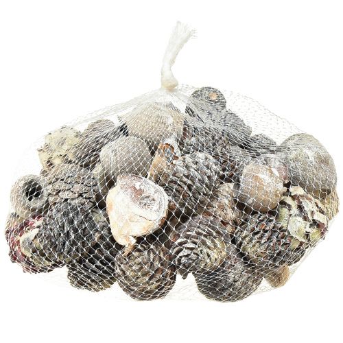 Artikel Exoten Zapfen Leucodendron Weiß gewaschen 3-4cm 450g