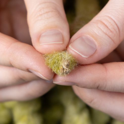 Artikel Filzkordel Wolle Grün 25m Dekoband Floristik Deko Basteln DIY