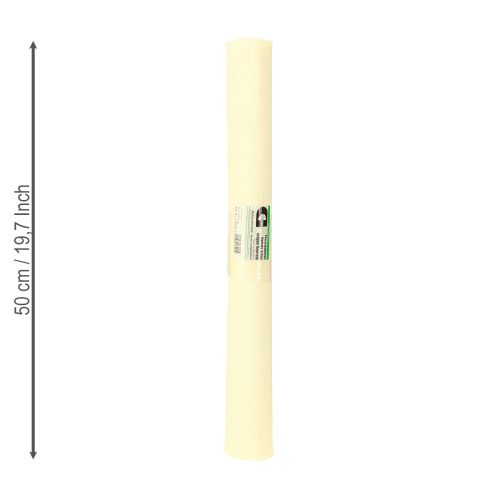 Floristen-Krepppapier Floristenkrepp Champagner 50×250cm 5St | Floristik24.ch